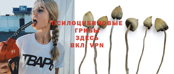мдма Новодвинск
