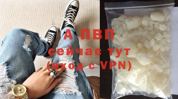PSILOCYBIN Новозыбков