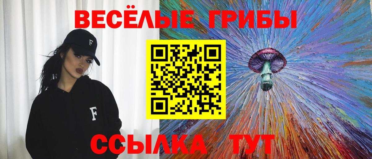 Галлюциногенные грибы прущие грибы Зерноград