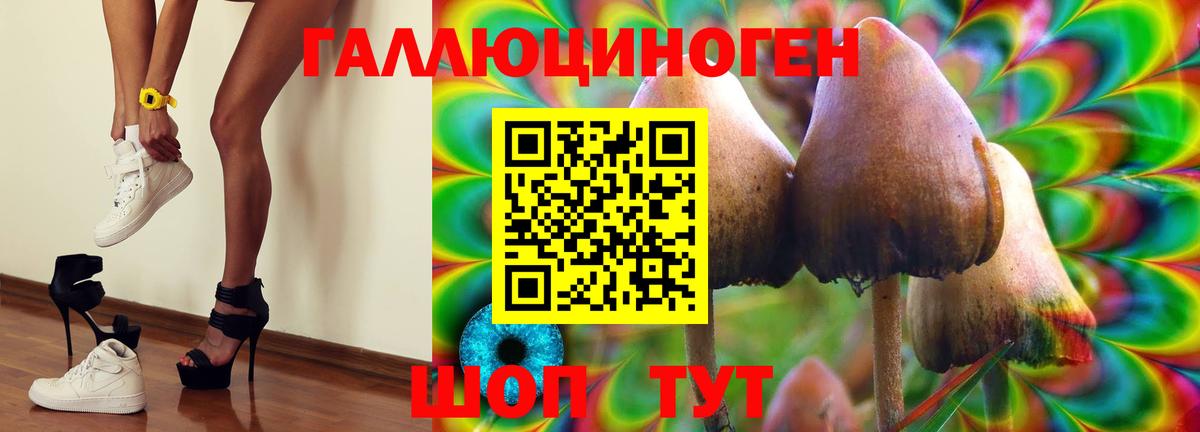 Галлюциногенные грибы MAGIC MUSHROOMS Зерноград